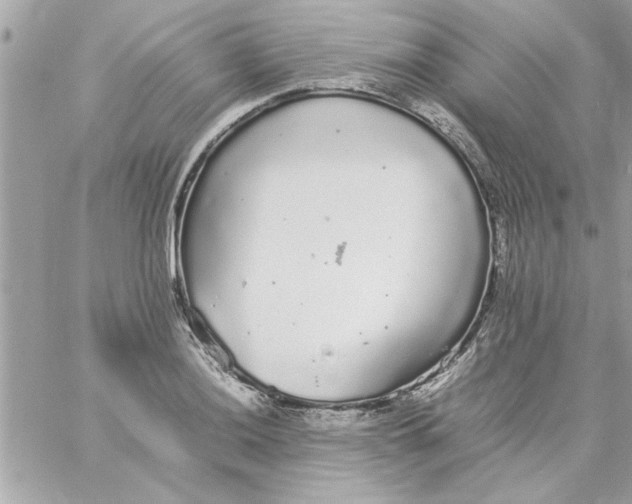 X0000057101036200510071932