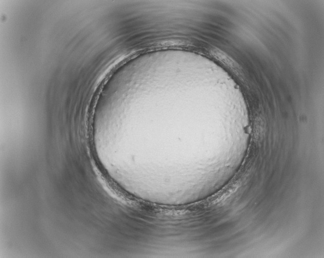 X0000057101039200510071932