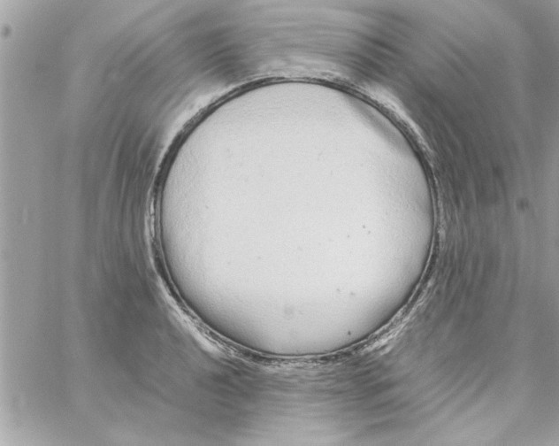 X0000057101040200510071932