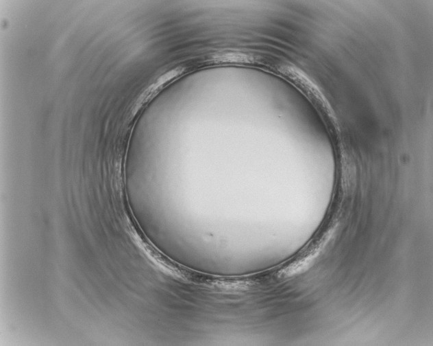 X0000057101041200510071932