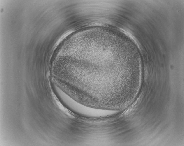 X0000057101042200510071932