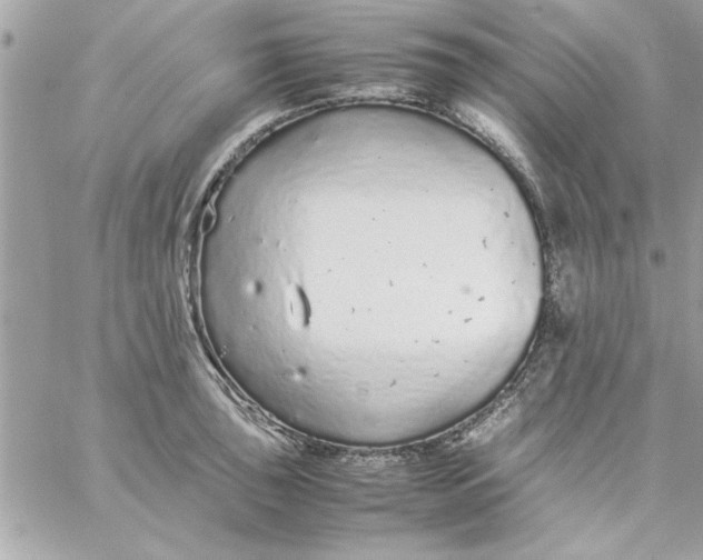 X0000057101043200510071932