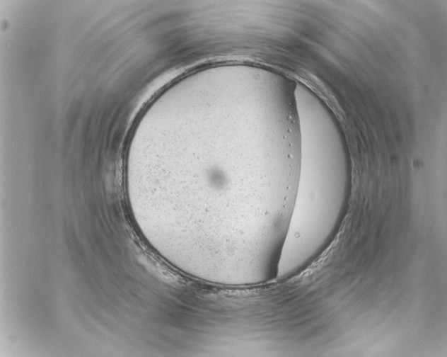 X0000057101044200510071932