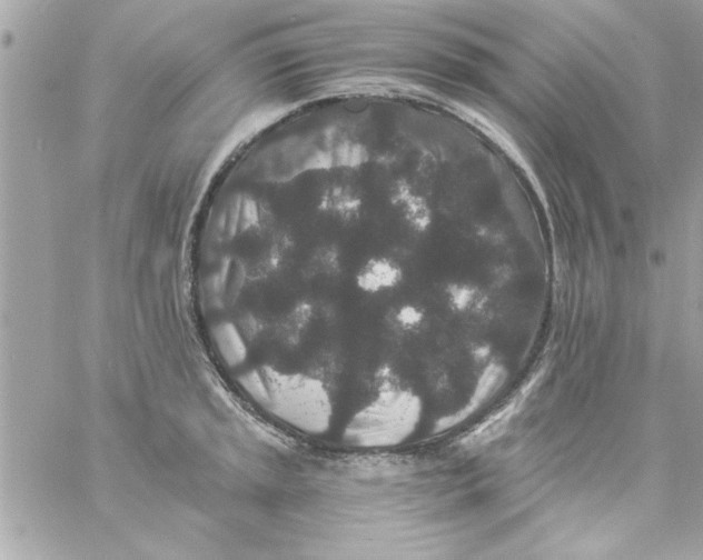 X0000057101045200510071932