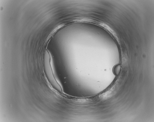 X0000057101049200510071932