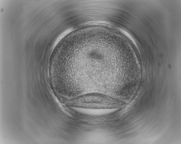 X0000057101050200510071932