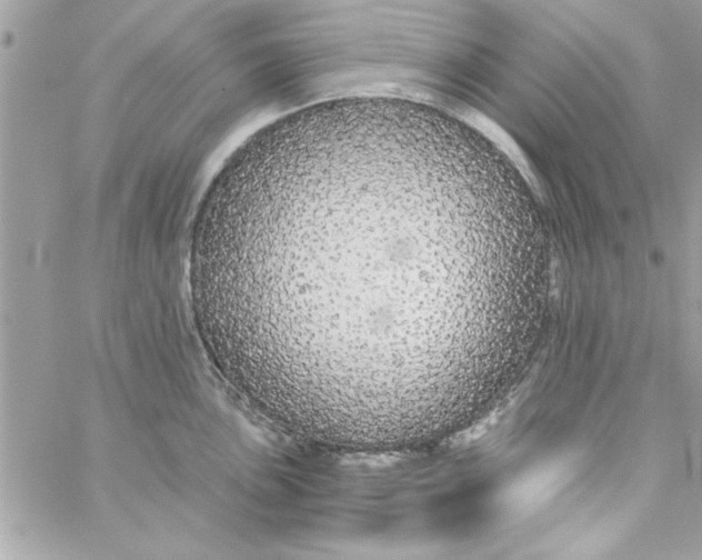 X0000057101051200510071932