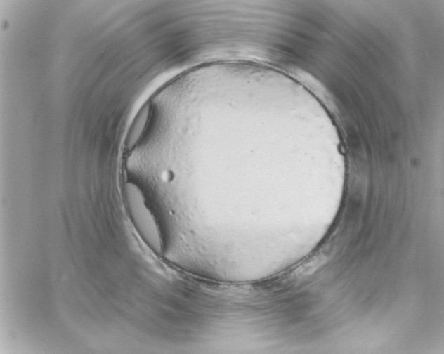 X0000057101052200510071932