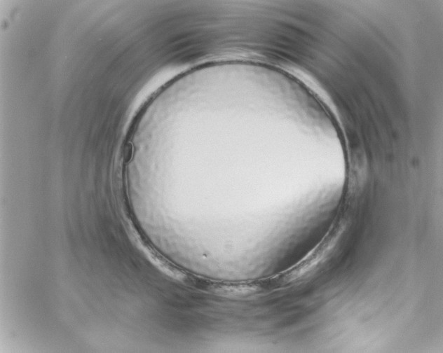 X0000057101053200510071932