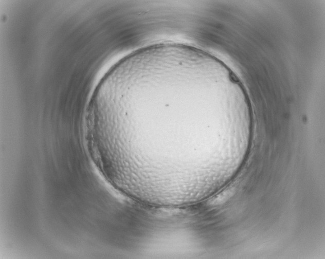 X0000057101056200510071932