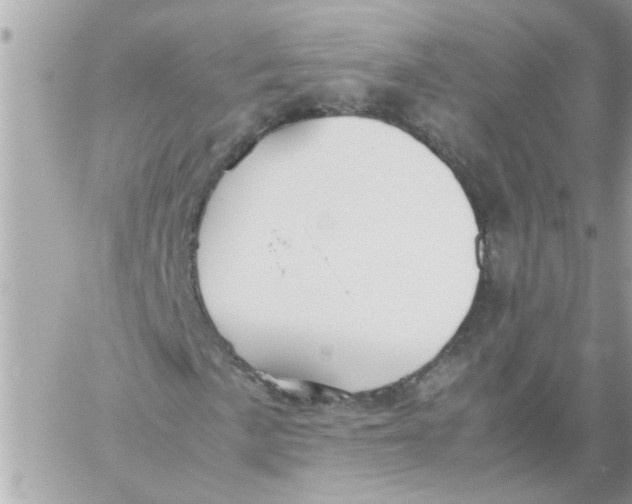 X0000057101057200510071931