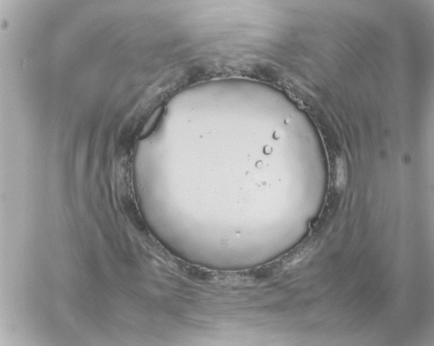 X0000057101059200510071931