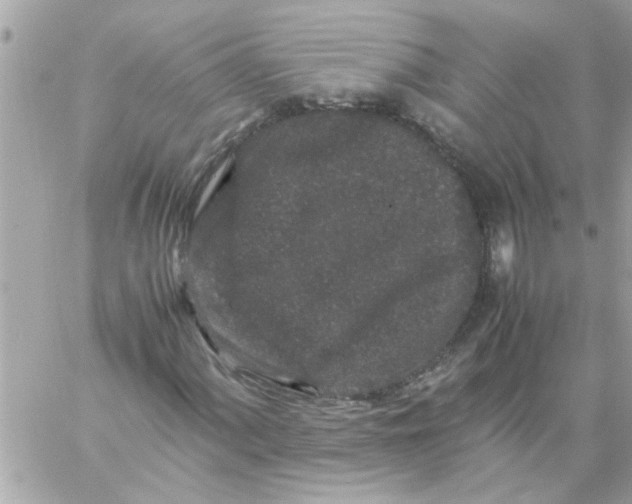 X0000057101060200510071931