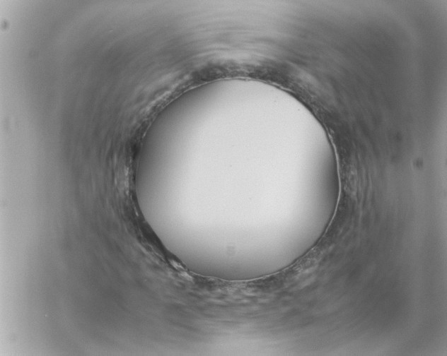 X0000057101061200510071931