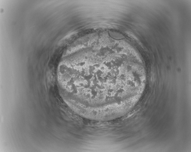 X0000057101063200510071931