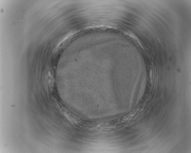 X0000057101064200510071931