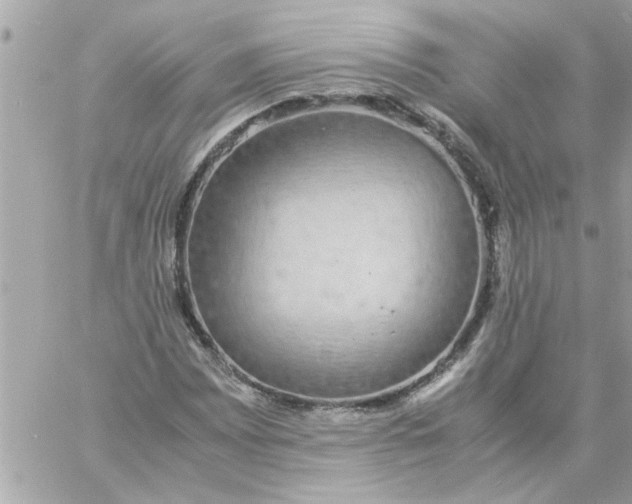 X0000057101065200510071931