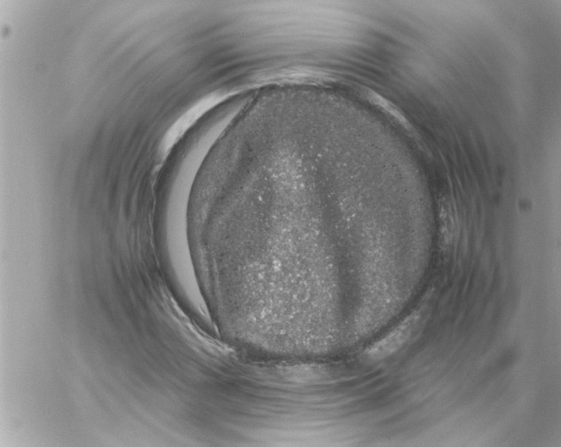 X0000057101066200510071931