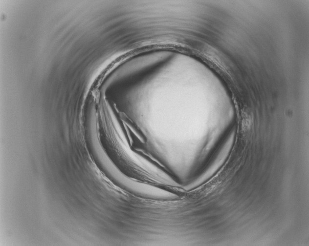 X0000057101068200510071931