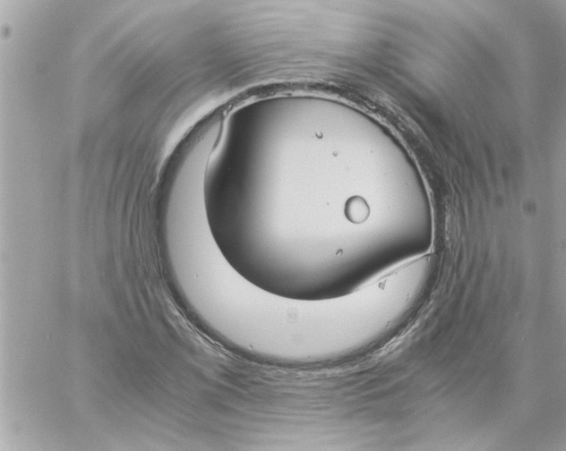 X0000057101069200510071931