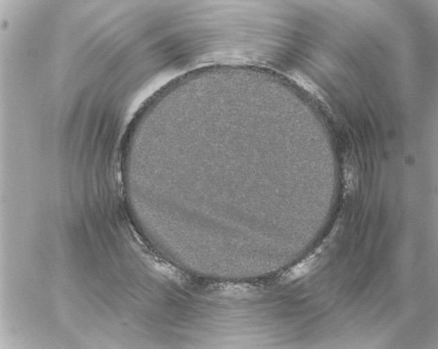 X0000057101070200510071931