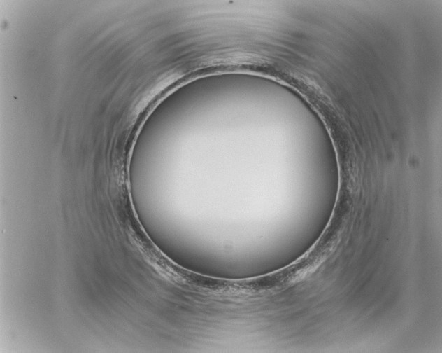 X0000057101073200510071931