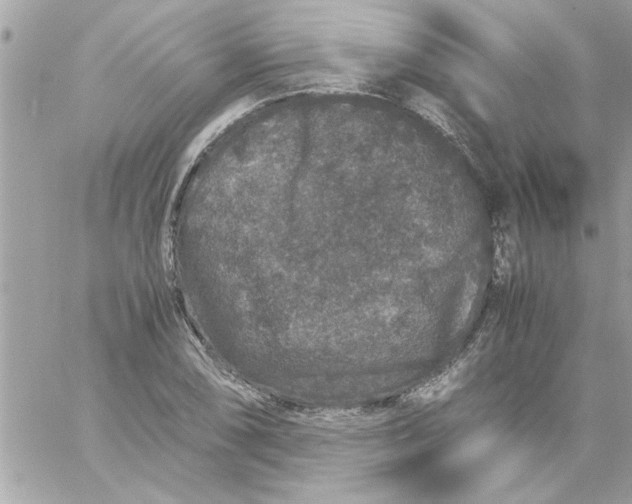 X0000057101074200510071931