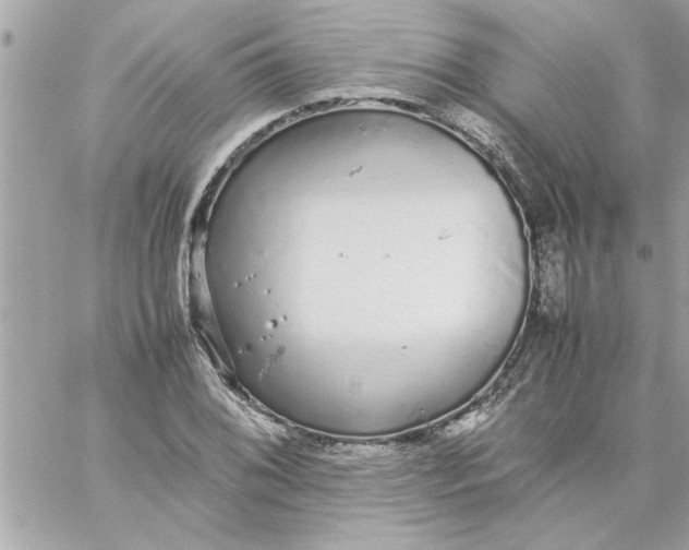 X0000057101076200510071931