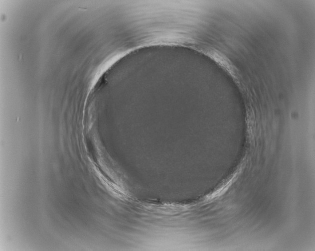 X0000057101077200510071931