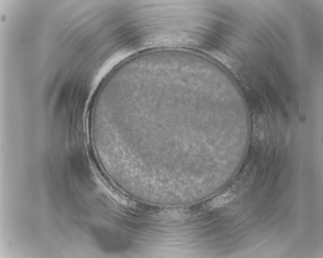 X0000057101078200510071931