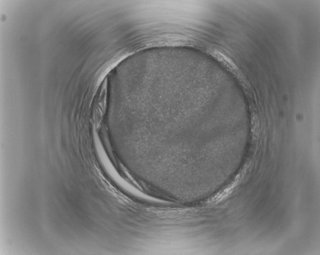 X0000057101081200510071931