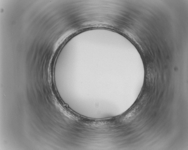 X0000057101082200510071931