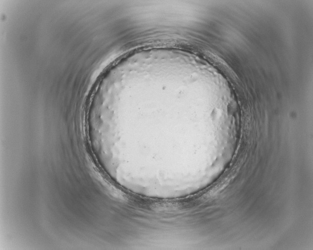 X0000057101083200510071931