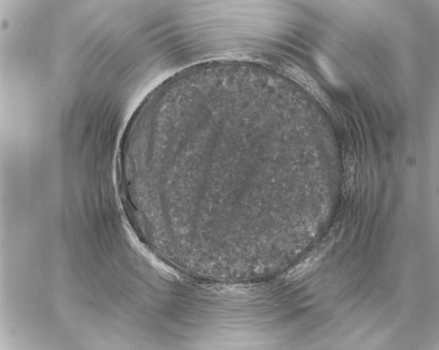 X0000057101084200510071931