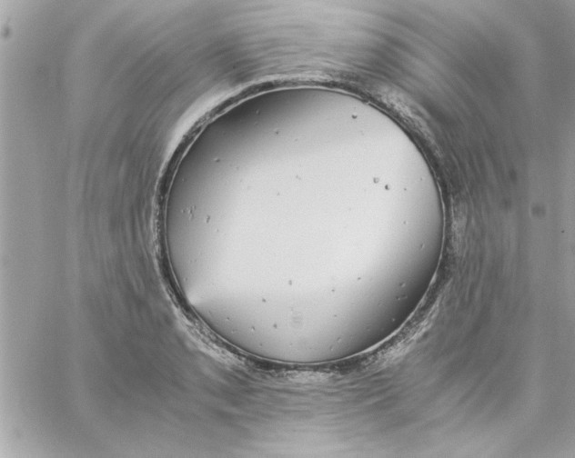 X0000057101085200510071931