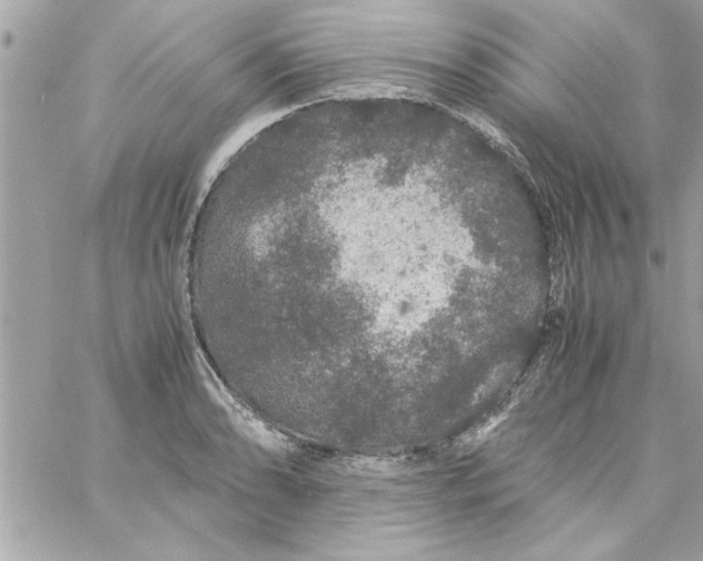 X0000057101086200510071931