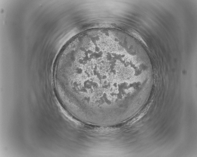 X0000057101087200510071931