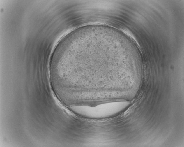 X0000057101088200510071931