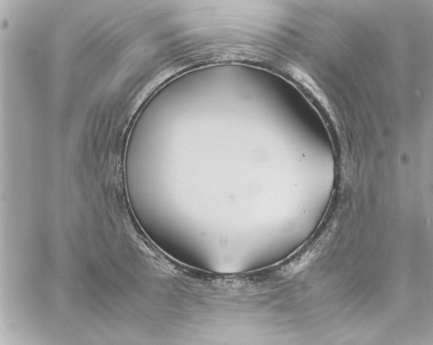 X0000057101089200510071931