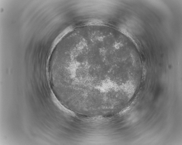 X0000057101090200510071931