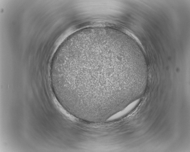 X0000057101091200510071931