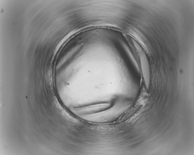 X0000057101092200510071931