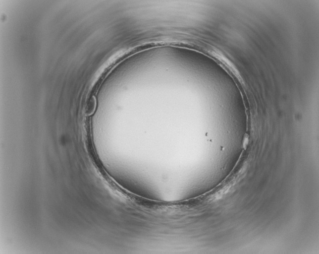 X0000057101093200510071931