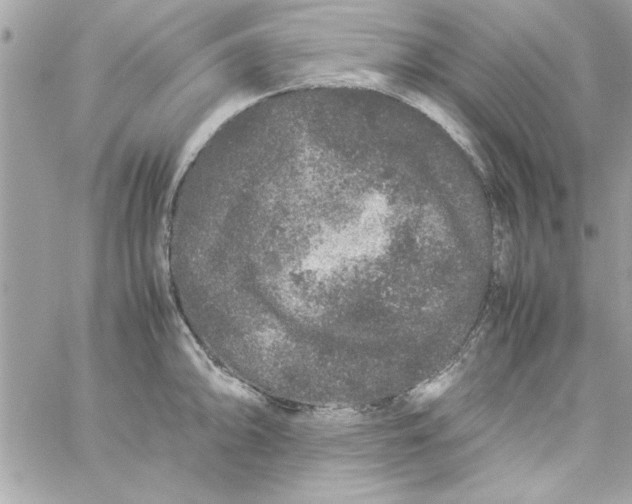 X0000057101094200510071931