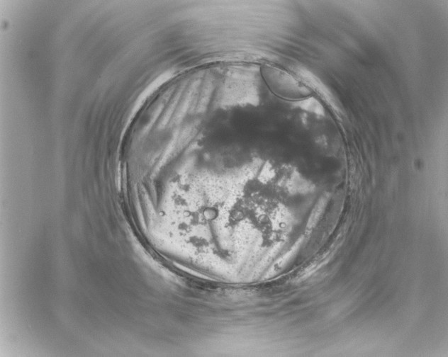 X0000057101095200510071931