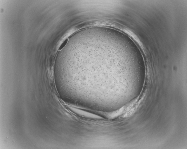 X0000057101097200510071931