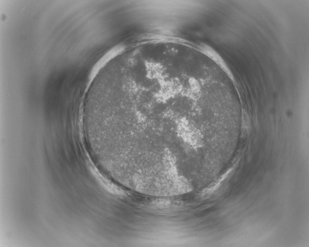 X0000057101098200510071930