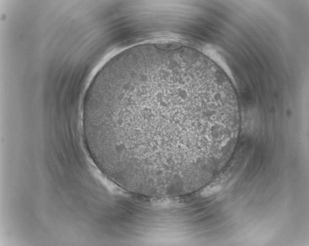 X0000057101099200510071930