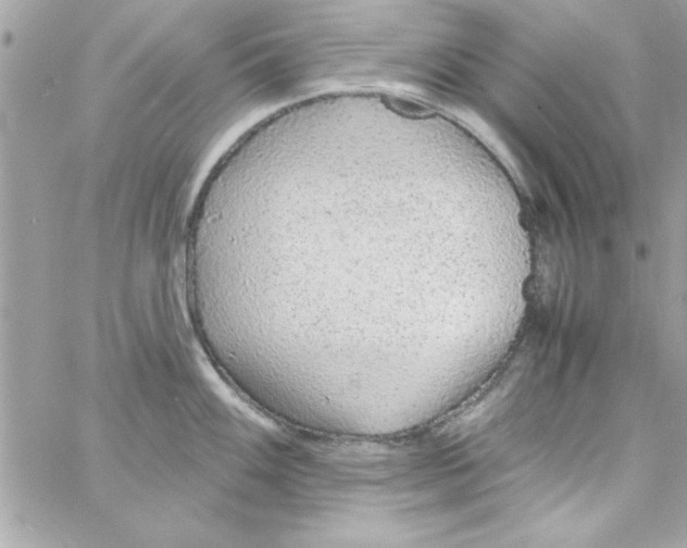 X0000057101100200510071930