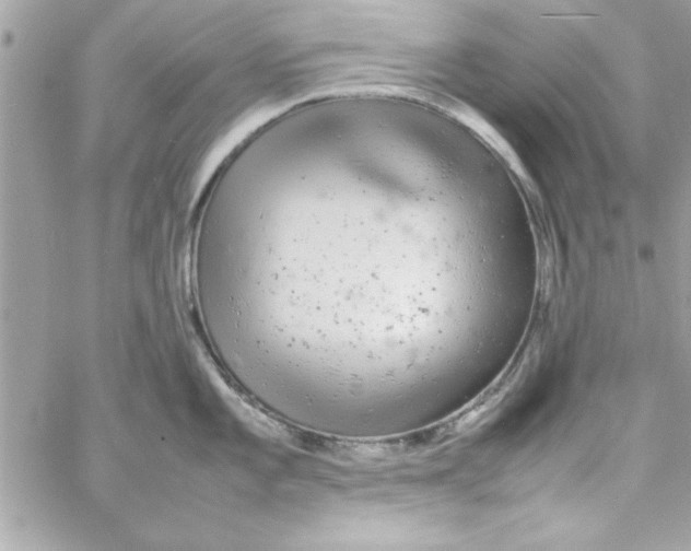 X0000057101101200510071930